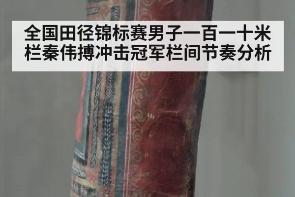 全国田径锦标赛男子一百一十米栏秦伟搏冲击冠军栏间节奏分析